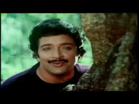 Paadum Vanambadi poster