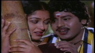 Vaanathula Velli poster