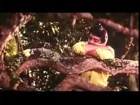 Poovukellam Siragu poster