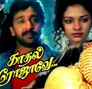 Chinna Vennila poster