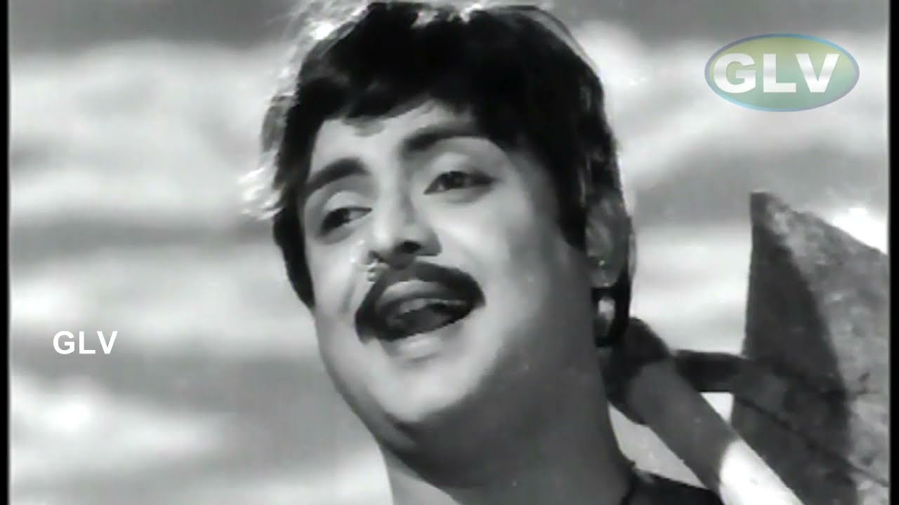 Kothumalli Poo Pookka poster