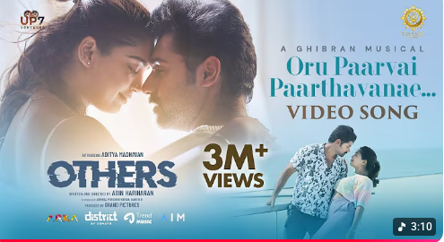 Oru Paarvai Paarthavanae poster