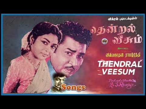 Meettatha Veenai poster