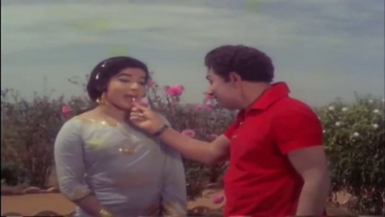 Poovaitha Poovaikku poster