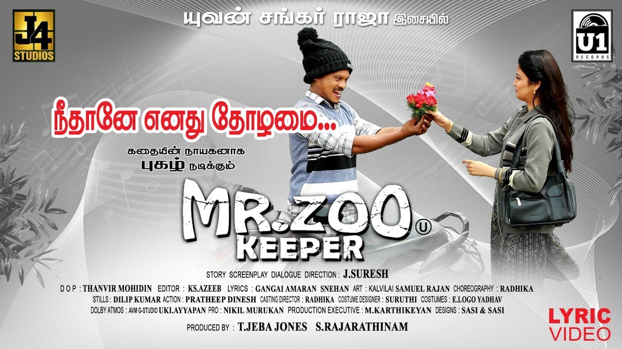 Neethane Enadhu Thozhamai Mazhai poster