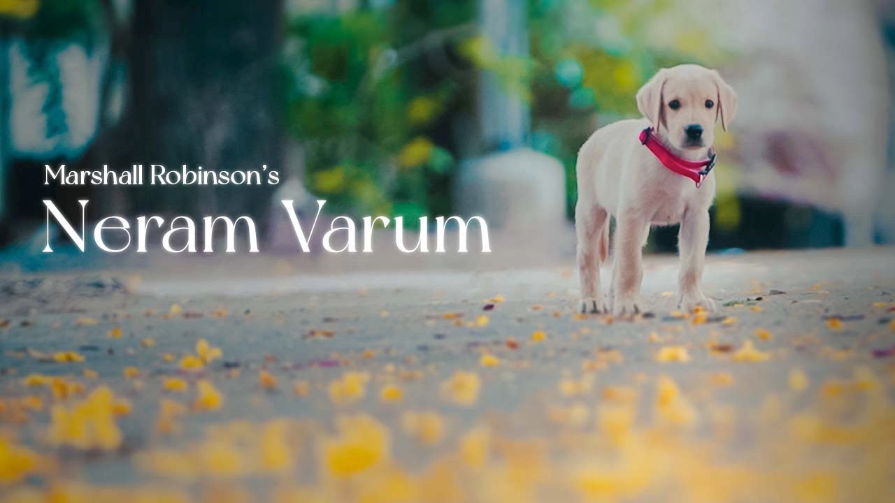 Neram Varum poster