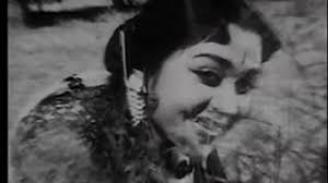 Paravaigale Paravaigale poster