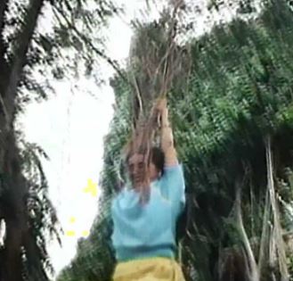 Amma Adi Amma poster