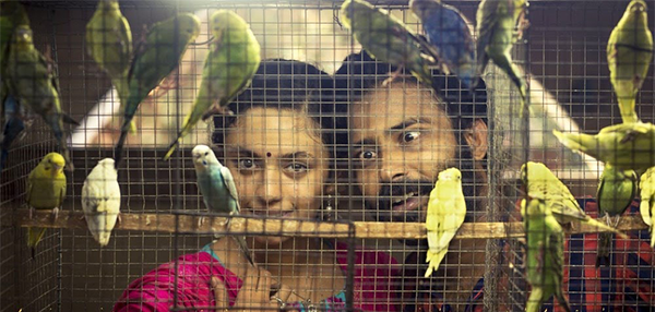 Kodaiyila poster
