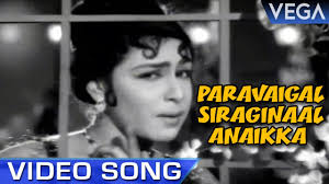Paravaigal Siraginal poster