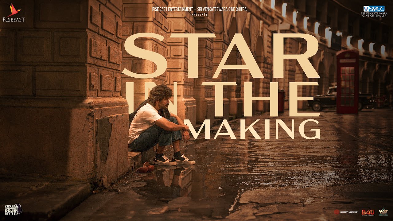 Star In The Making poster