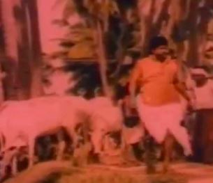 Sittu Kuruvi Paaru poster