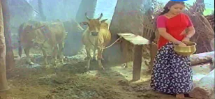 Kagam Karainjiruchi Kakkiruttu poster