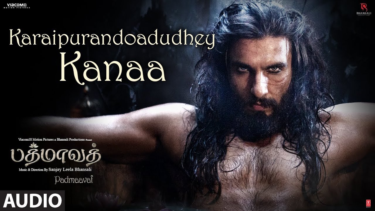 Karaipurandoadudhey Kanaa poster