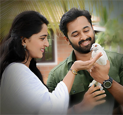 Mandhaara poster
