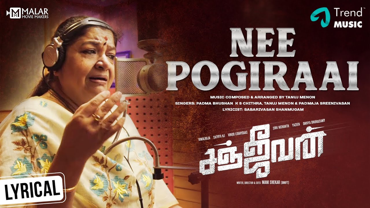 Nee Pogiraai poster