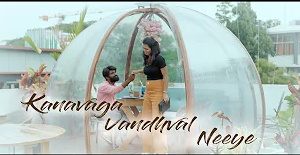 Kanavaga Vandhaval Neeye poster