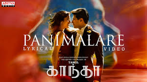 Panimalare poster