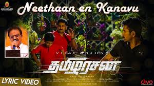 Neethaan En Kanavu poster