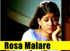 Rosa Malare poster
