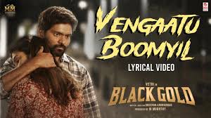 Vengaattu Boomyila poster