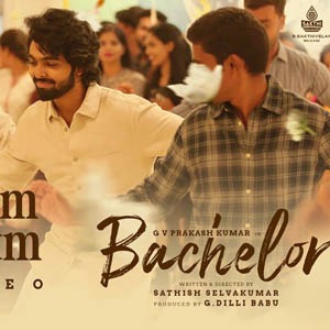Pachigalam Paravaigalam poster