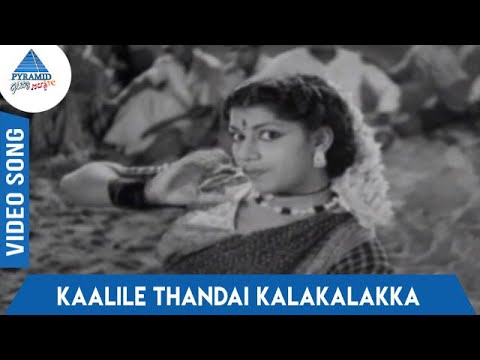Kaalile Thandai Kalakalakka poster