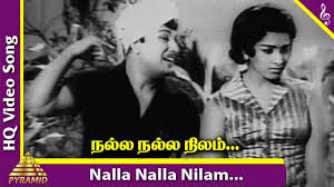 Nalla Nalla Nilam poster