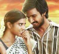 Vaiyambatti poster