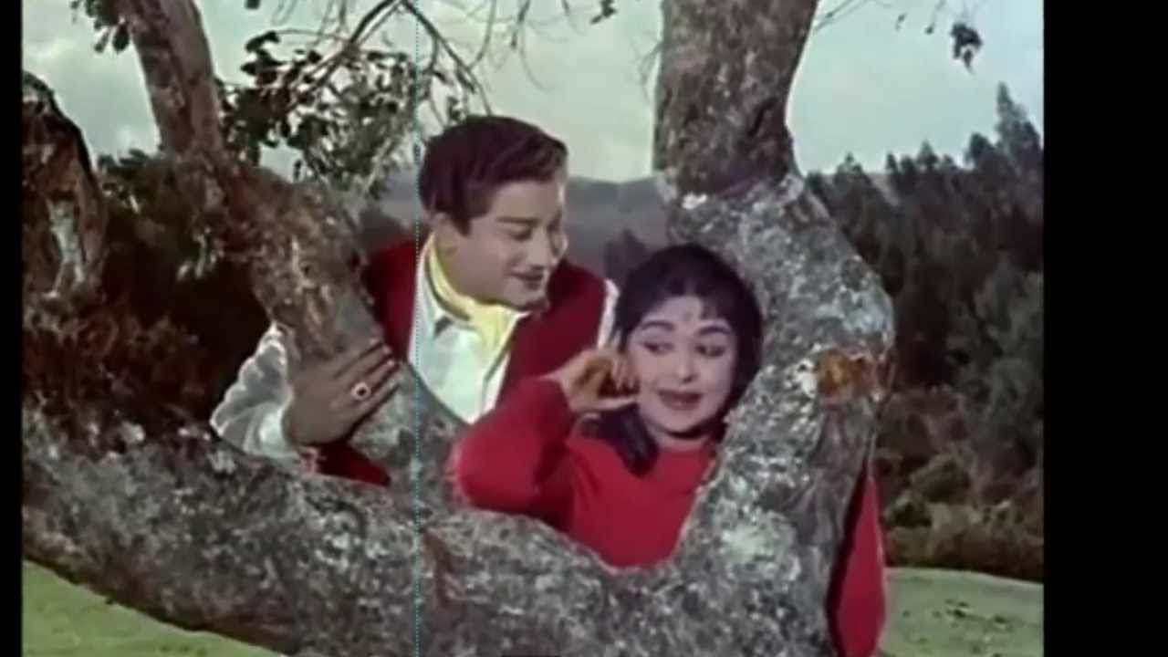 Chittu Kuruvi poster
