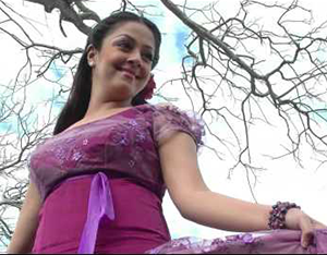 Sevvanam Selai Katti poster