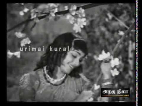 Kaattu Kuyilukkum poster