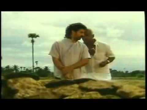 Potri Paadadi Penne Sad poster