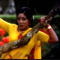 Paavai Nee Malaigai Paal Nila poster