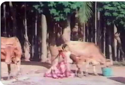 Naan Raja Veettu poster