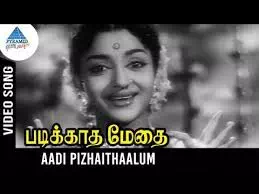 Aadi Pizhaithaalum Paadi Pizhaithaalum poster