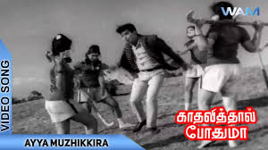Ayya Muzhikkira poster