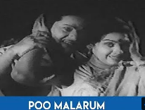 Poo Malarum Velaiyile poster