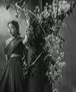 Chittu Pole Vaanagam poster