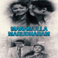 Vanga Amma Vanga poster