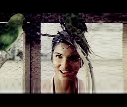 Chinna Kili Vanna Kili poster