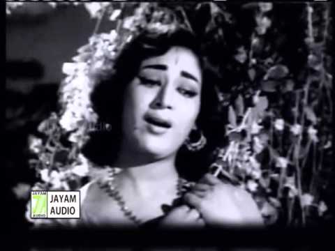 Velli Nila Vanathile poster