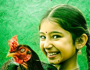 Kokkara Kozhi poster